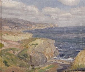 Diver's Cove, Laguna Diver's Cove, Laguna