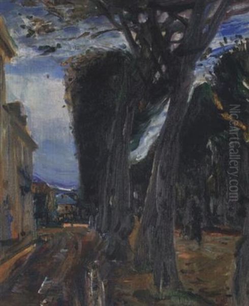 The Park Road - view 1