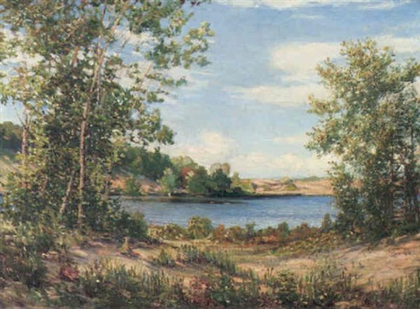 Lakeside Wildflowers, Saugatuck, Michigan - view 1