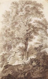 Hugelige, Waldige Landschaft Mit Einer Alten Eiche Hugelige, Waldige Landschaft Mit Einer Alten Eiche