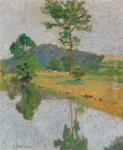 River Landscape - view 1