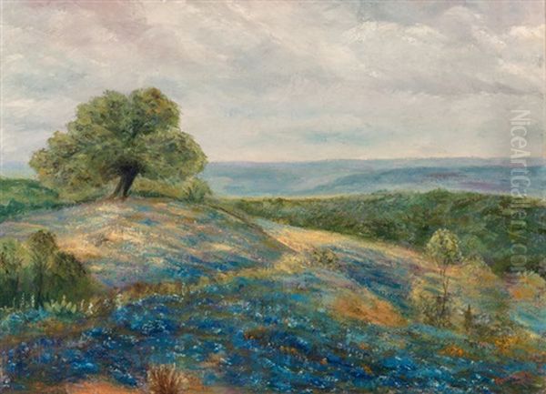 Bluebonnets Haze - view 1