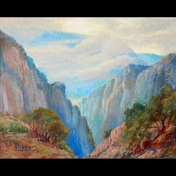 Untitled - Storm In Canyon - view 1