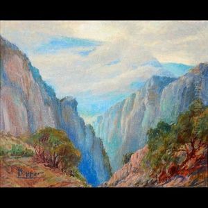 Untitled - Storm In Canyon