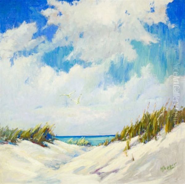 Dunes - view 1