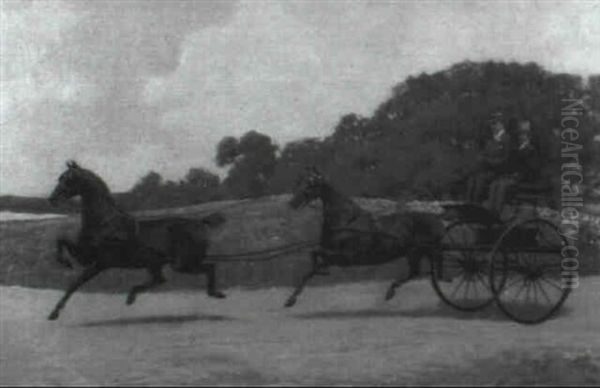 Buggy Ride - view 1