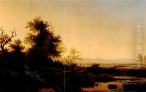 Idyllische Abendlandschaft Mit Versteckem Gehoft Unter Malerischer Eichengruppe
