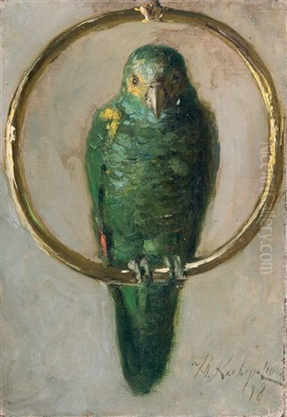 Parrot - view 1
