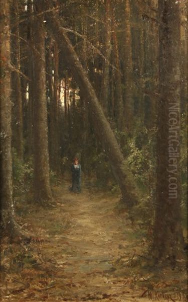A Walk In The Woods - view 1