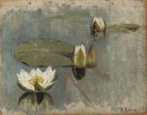 Waterlilies In Bloom