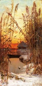 Winter Landscape With Reeds