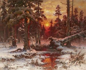 Winter Sunset In A Pine Forest