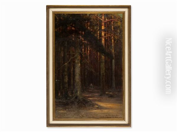 Forest Landscape - view 1