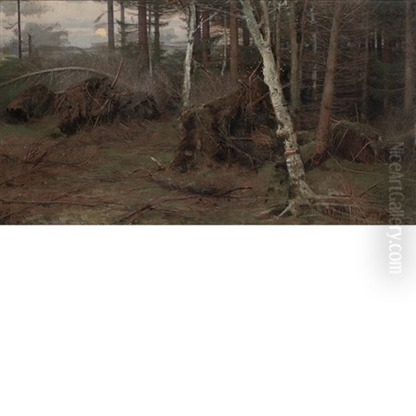 The Edge Of The Woods - view 1