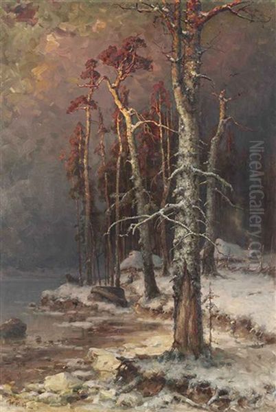 Winter In The Forest Near Lake Peipus - view 1