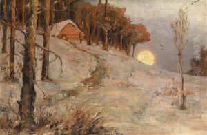 Winterwald In Abendsonne Winterwald In Abendsonne