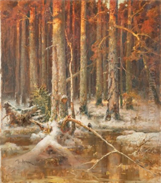 Sunset In The Forest - view 1