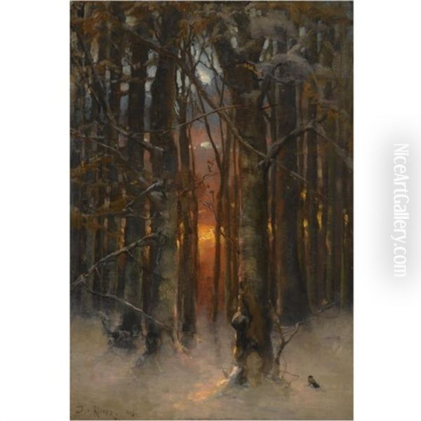 Sunset Through The Trees (collab. W/studio) - view 1
