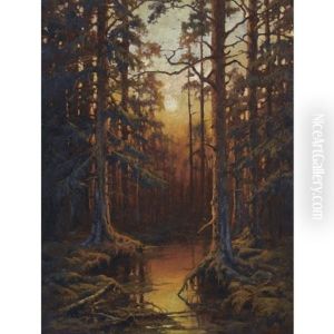 Forest Sunset (collab. W/studio) Forest Sunset (collab. W/studio)