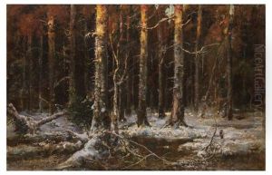 Depth Of The Forest (sketch) Depth Of The Forest (sketch)