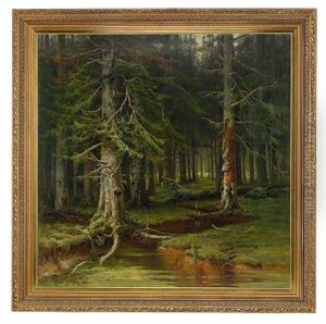 A Forest A Forest