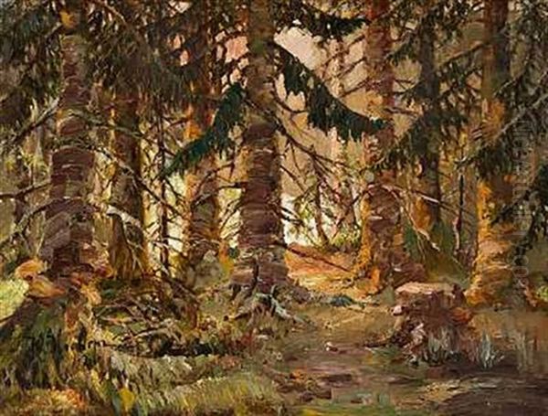 In The Forest - view 1