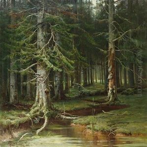 Virgin Forest