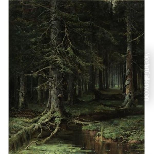 Forest - view 1