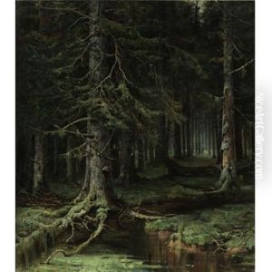 Forest Forest