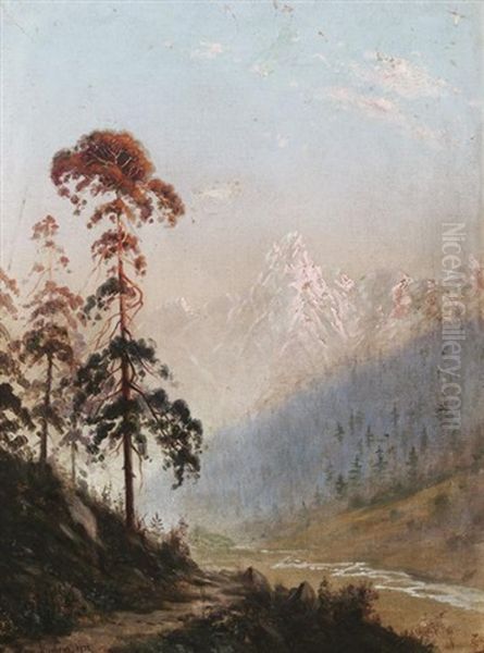 Im Kaukasus: Blick In Ein Weites Flustal - view 1