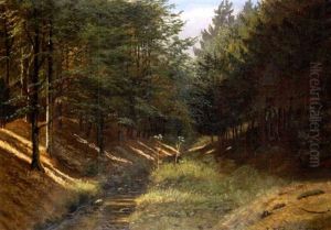 Sous-bois