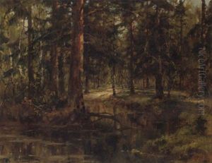 Through The Woods Through The Woods