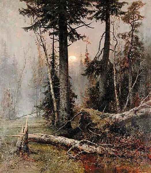 Untitled - Morning After Storm - view 1
