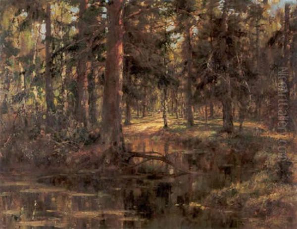 Through The Woods - view 1