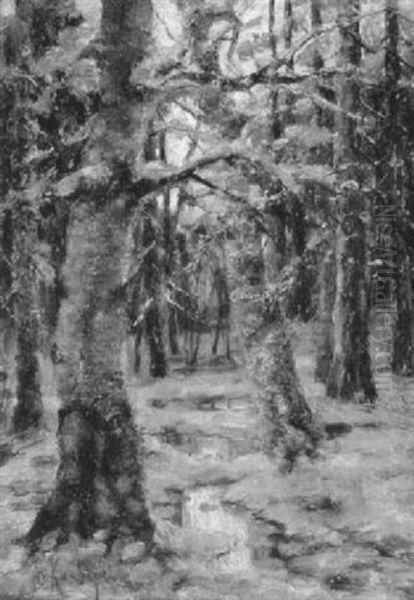 Russischer Winterwald Im Abendrot - view 1