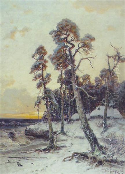 Vinterlandskab Med Traeer Ved Kysten. Skumring - view 1