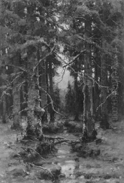 Sonnenuntergang Im Winterlichen Wald - view 1