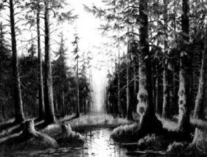 Nachtliche Waldlandschaft by Yuliy Yulevich (Julius) Klever