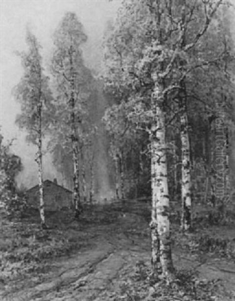 The Birch Forest - view 1