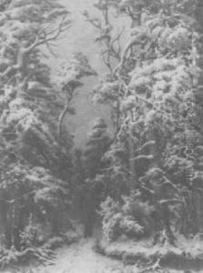 Winter Scene Winter Scene