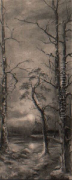 Winterlandschaft Bei Nacht - view 1