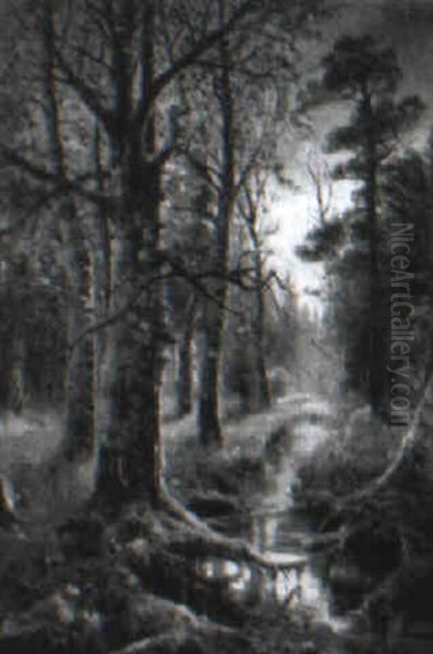Birch Trees By A Stream - view 1