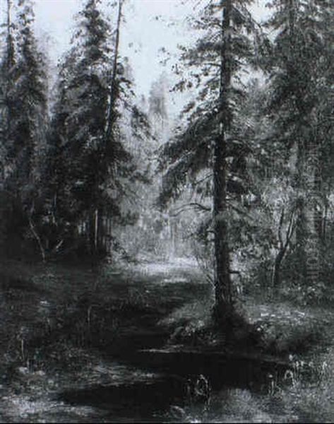 Waldlichtung - view 1