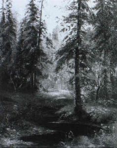 Waldlichtung