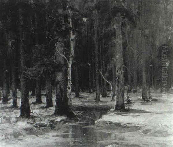 Stream Through A Forest In Winter - view 1