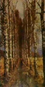 Avenue Of Birch Trees