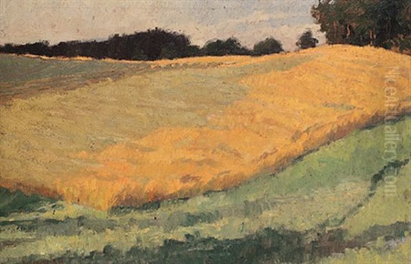 Kornfeld - view 1