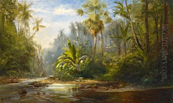 Sudamerikanische Urwaldlandschaft Mit Einem Geparden - view 1