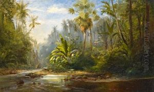 Sudamerikanische Urwaldlandschaft Mit Einem Geparden