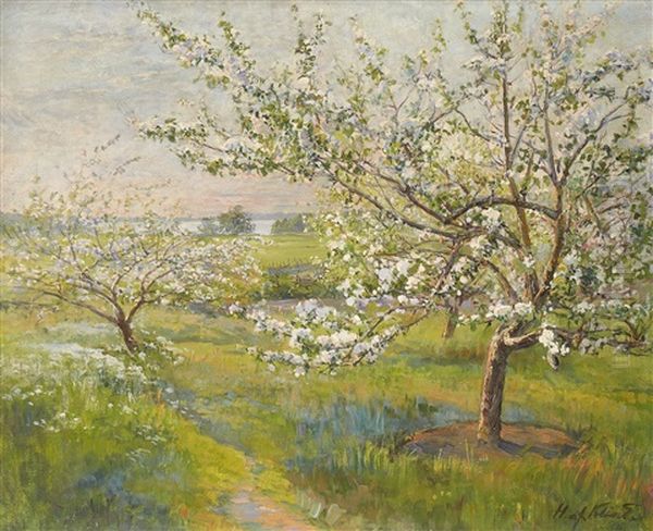 Blommande Frukttrad - view 1